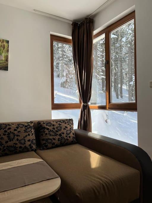 Forest Place Pamporovo Exterior foto